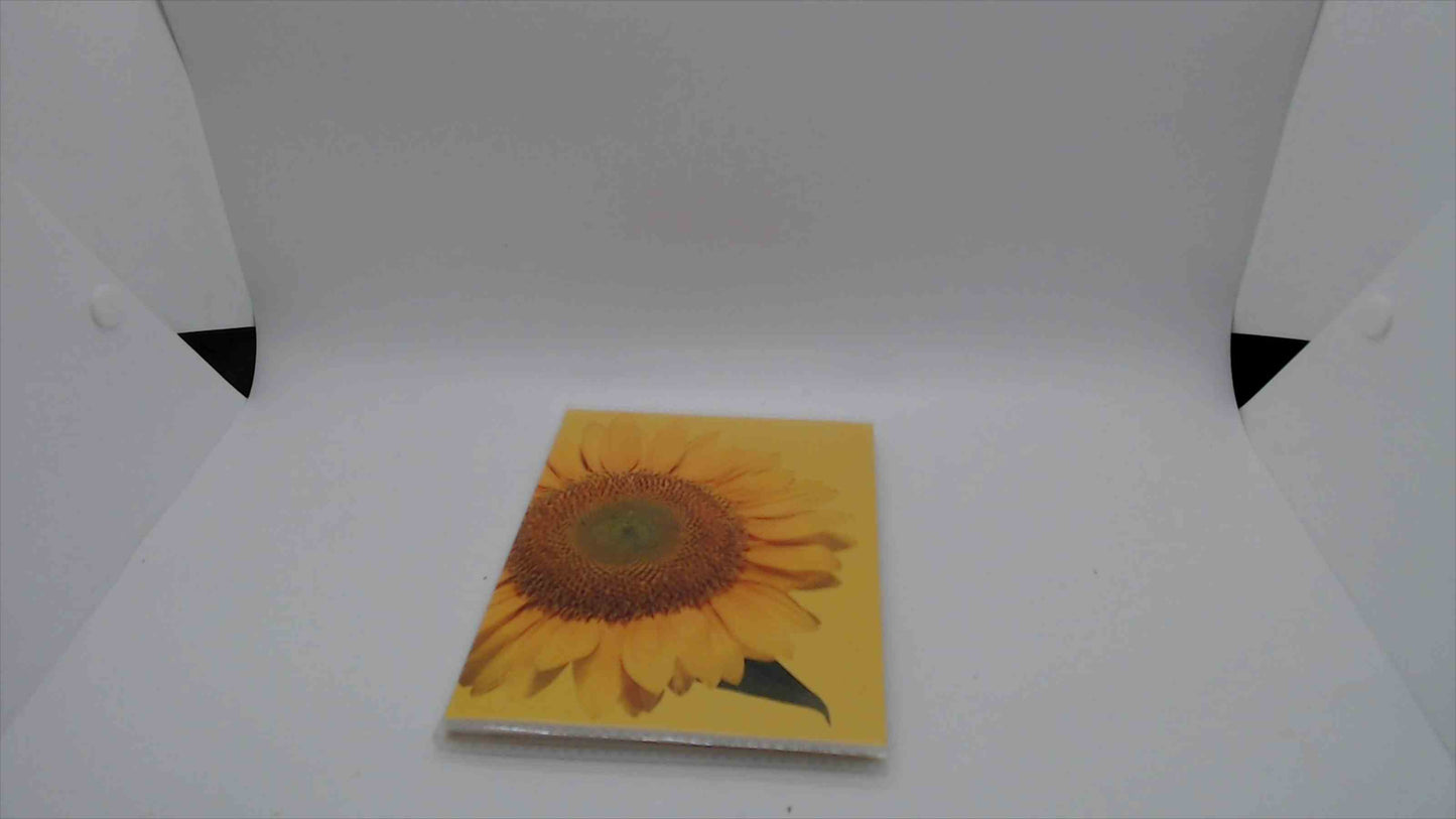 Assorted Photo Albums x 10