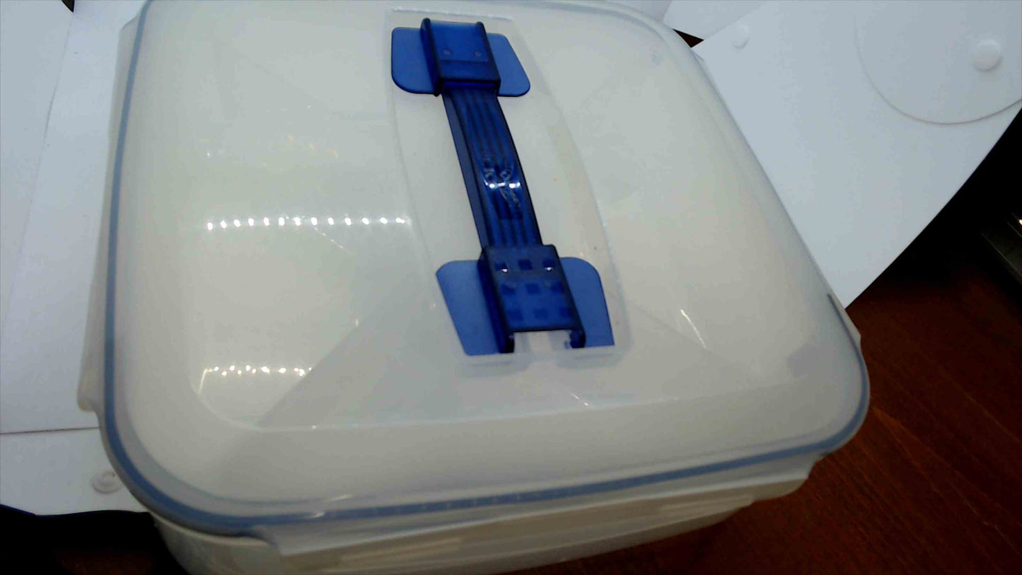Lock & Lock Divided Food Storage Container with Carry Handle – BPA-Free
