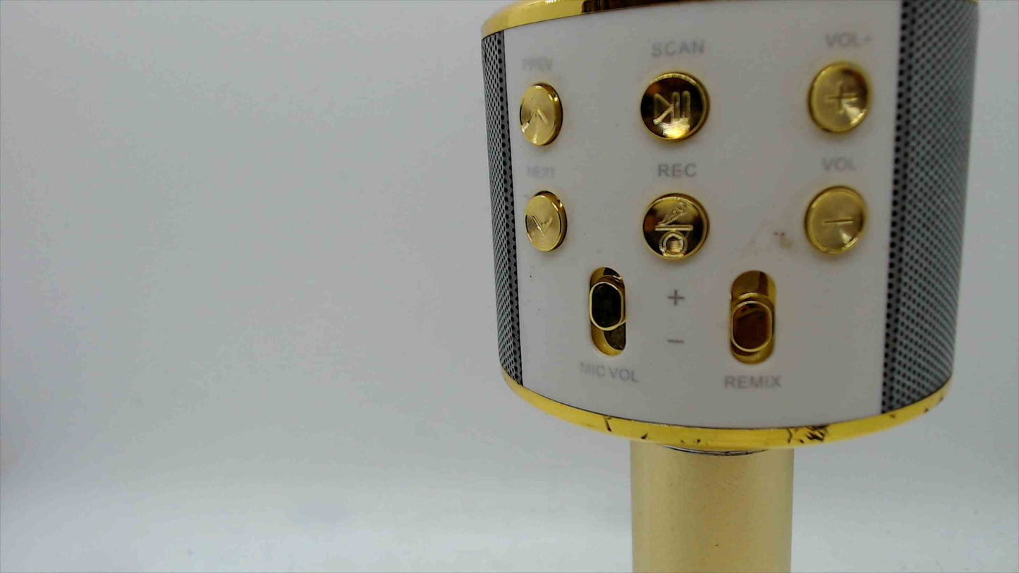 Gold Wireless Karaoke Microphone w/ Built-In Speaker – Bluetooth, Record & Echo – Camp Invention – USB/TF/AUX