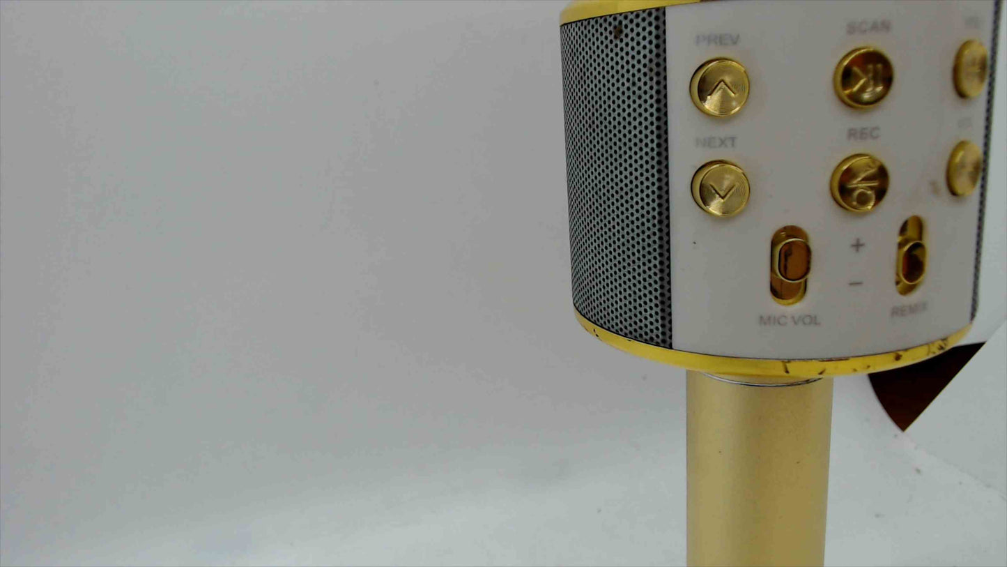 Gold Wireless Karaoke Microphone w/ Built-In Speaker – Bluetooth, Record & Echo – Camp Invention – USB/TF/AUX