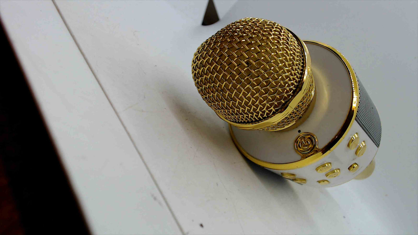 Gold Wireless Karaoke Microphone w/ Built-In Speaker – Bluetooth, Record & Echo – Camp Invention – USB/TF/AUX