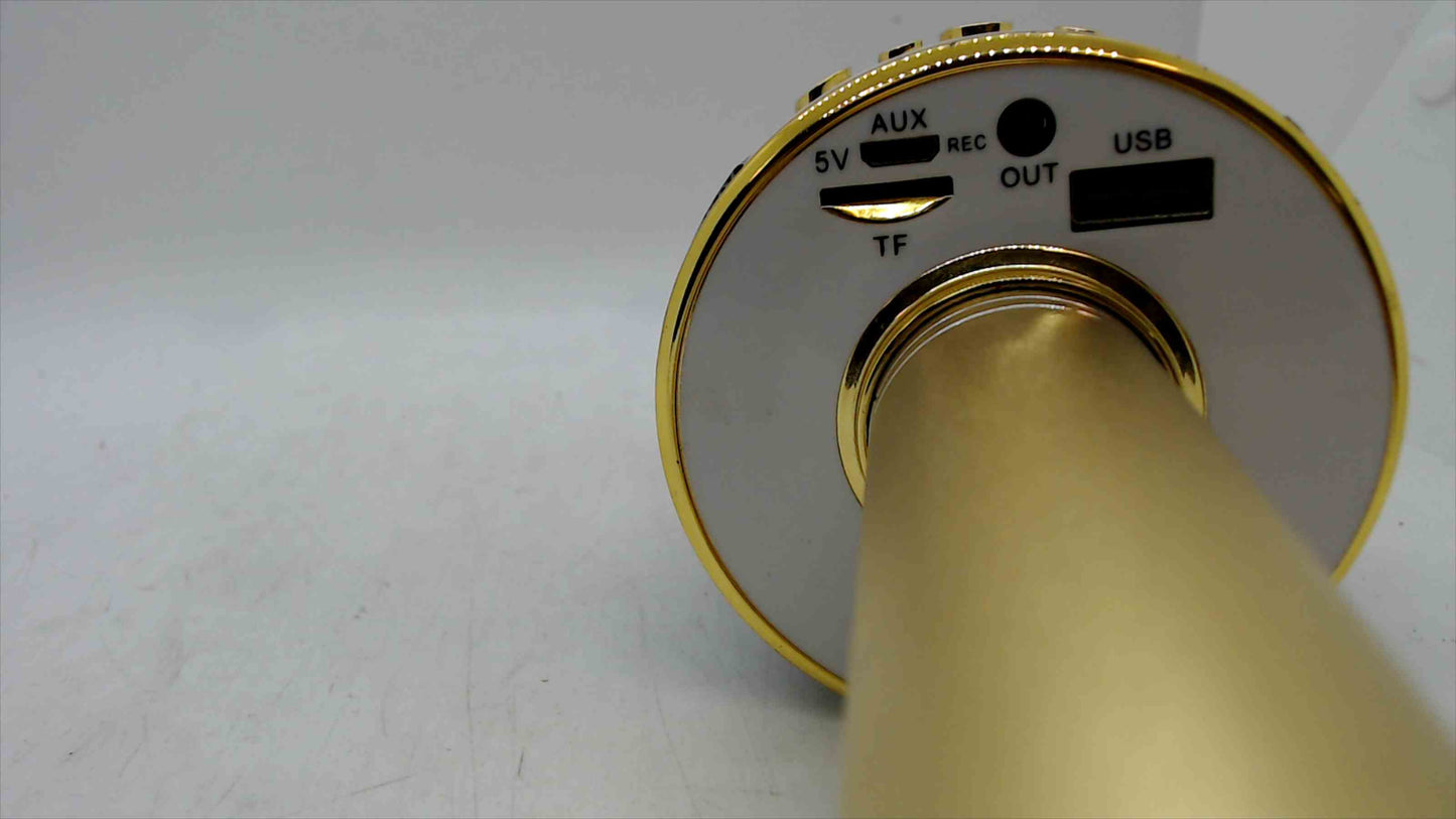 Gold Wireless Karaoke Microphone w/ Built-In Speaker – Bluetooth, Record & Echo – Camp Invention – USB/TF/AUX