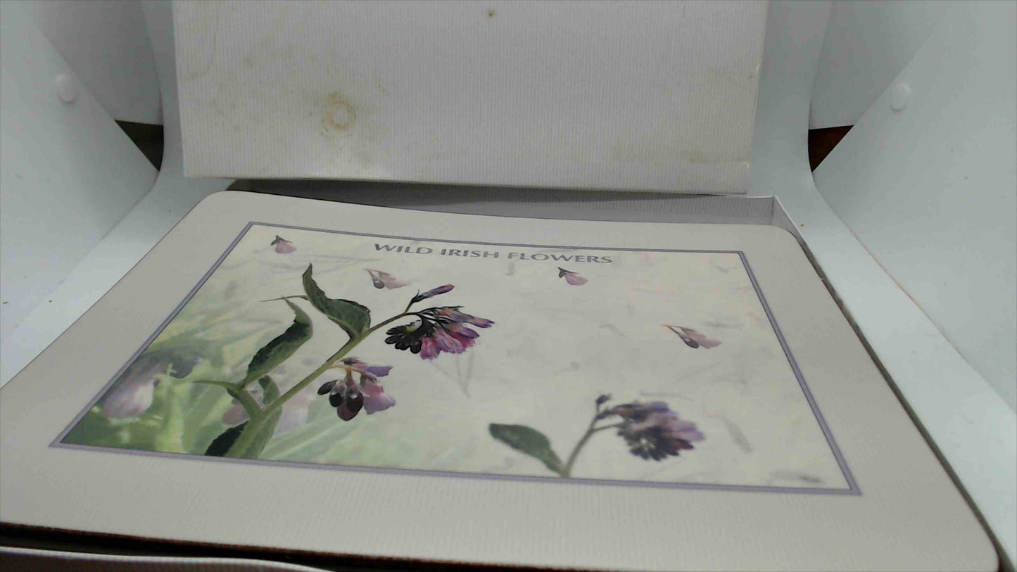 John Hinde "Wild Irish Flowers" Cork-Backed Placemats — Set of 6, Original Box, Made in Ireland