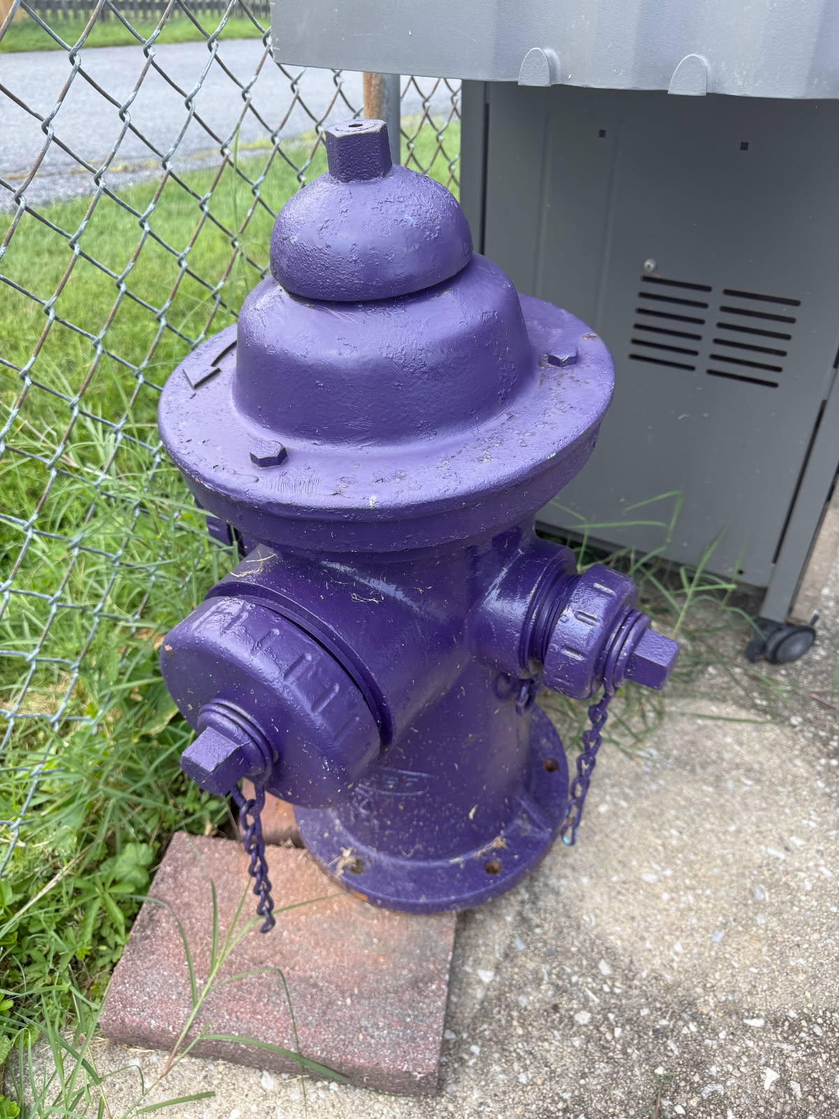 Vintage Purple Industrial Fire Hydrant – Dresser Brand