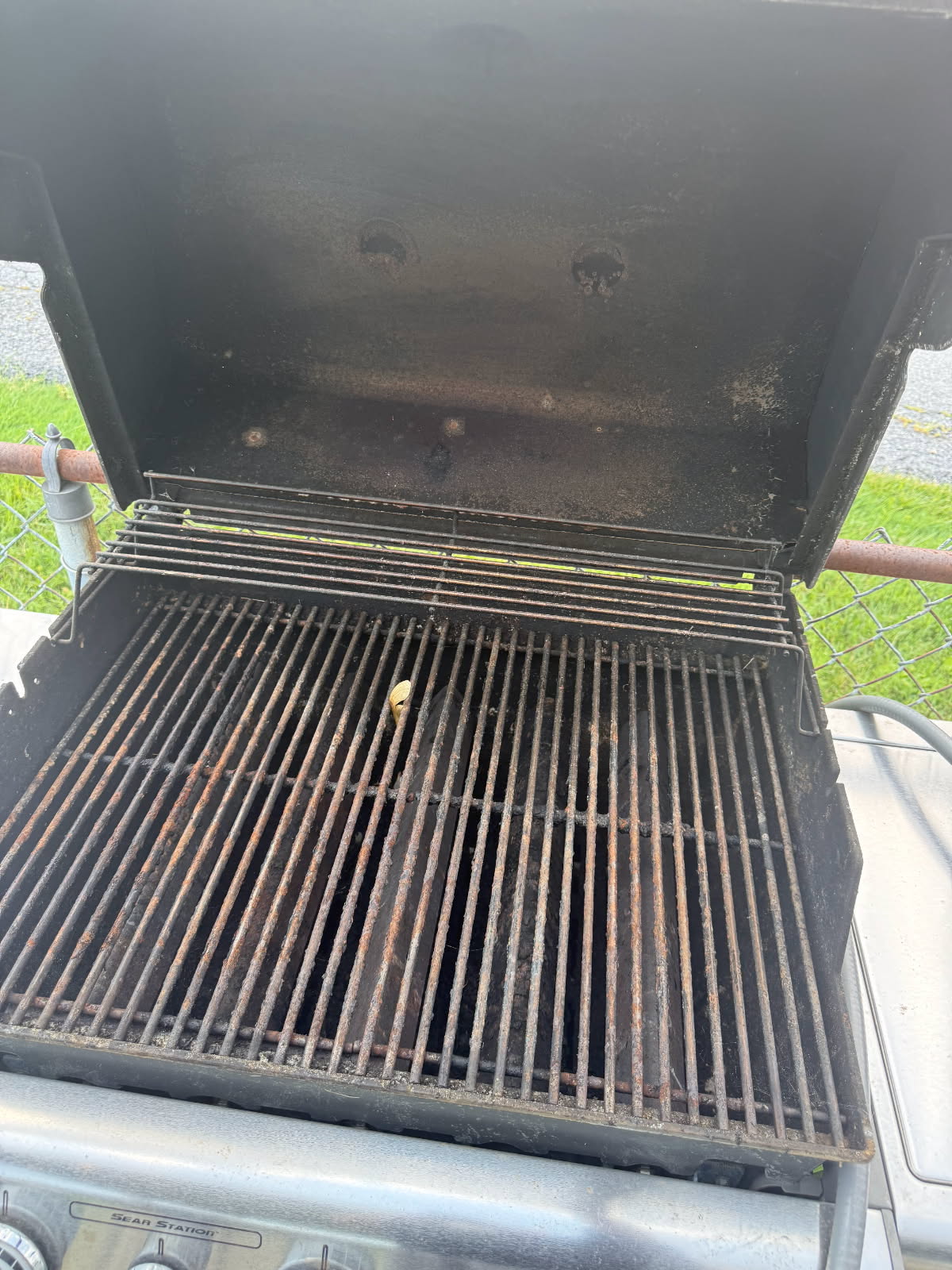 Weber Genesis Special Edition 3-Burner Natural Gas Grill – Black & Stainless Steel