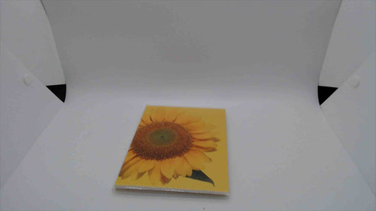 Assorted Photo Albums x 10