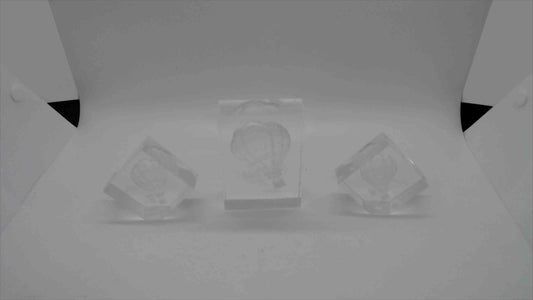 Paper Weights x 3