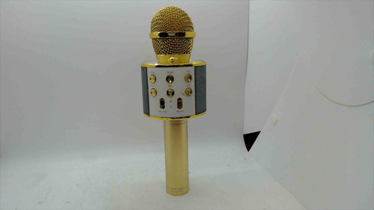 Gold Wireless Karaoke Microphone w/ Built-In Speaker – Bluetooth, Record & Echo – Camp Invention – USB/TF/AUX