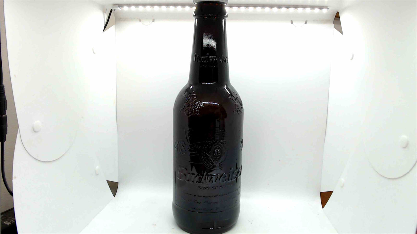 Budweiser Dale Earnhardt Jr. #8 – 2000 NASCAR Rookie Season Commemorative Glass Bottle, ~15" Display