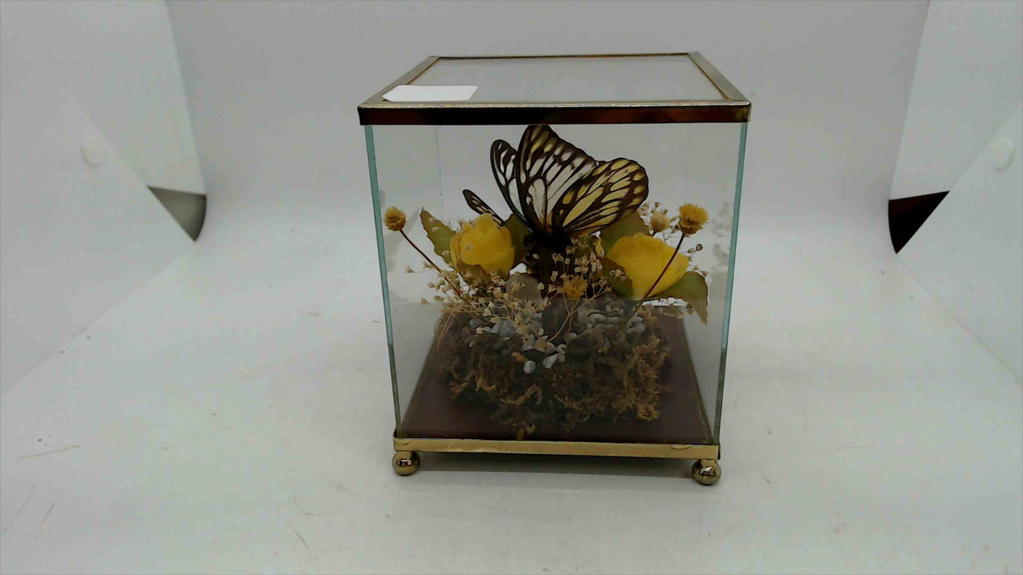 Vintage Glass Butterfly Display Case – Brass Trim – Preserved Butterfly & Dried Flowers – 4" x 4" x 5" – Made in Taiwan R.O.C.