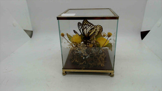 Vintage Glass Butterfly Display Case – Brass Trim – Preserved Butterfly & Dried Flowers – 4" x 4" x 5" – Made in Taiwan R.O.C.