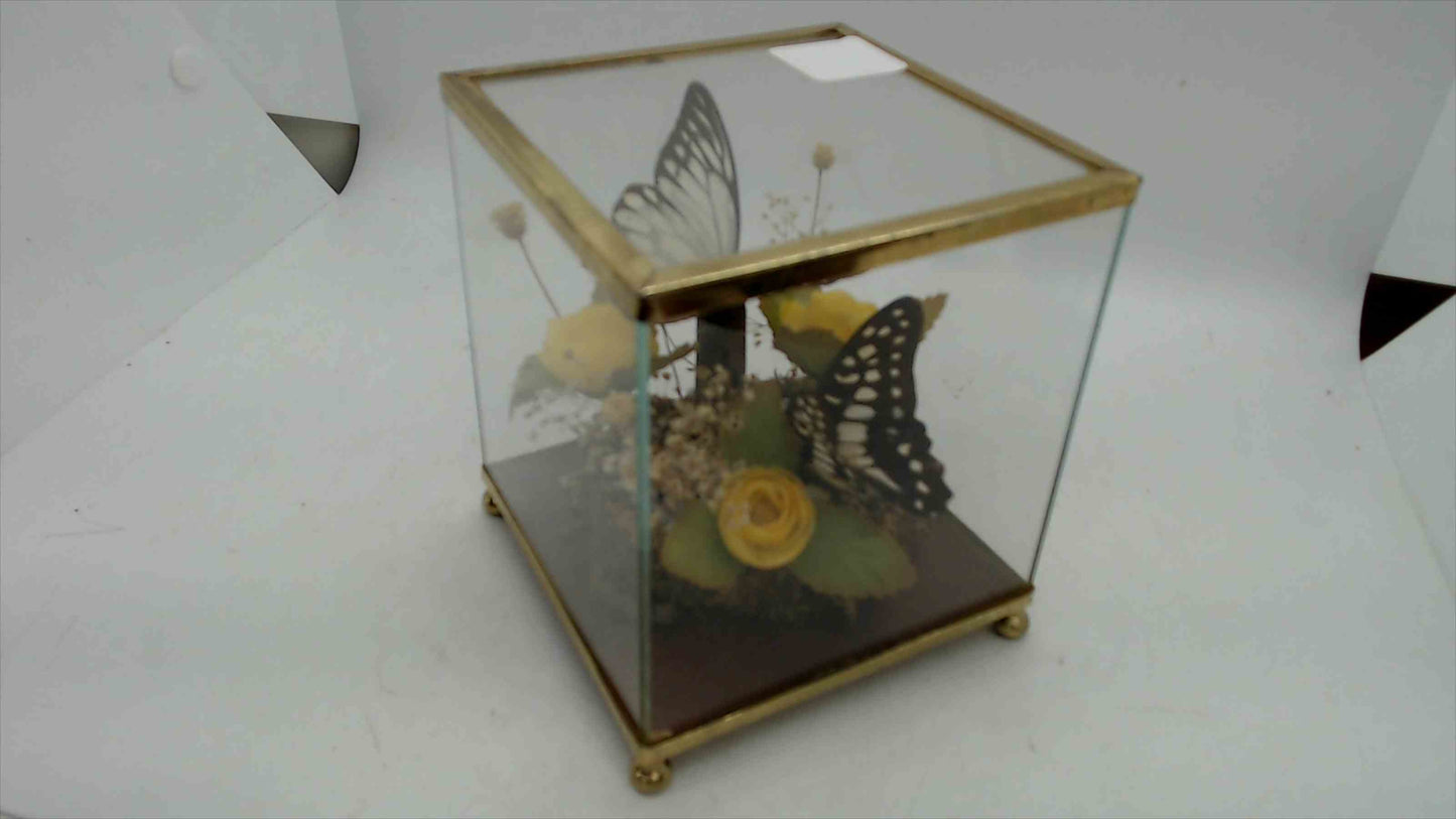 Vintage Glass Butterfly Display Case – Brass Trim – Preserved Butterfly & Dried Flowers – 4" x 4" x 5" – Made in Taiwan R.O.C.