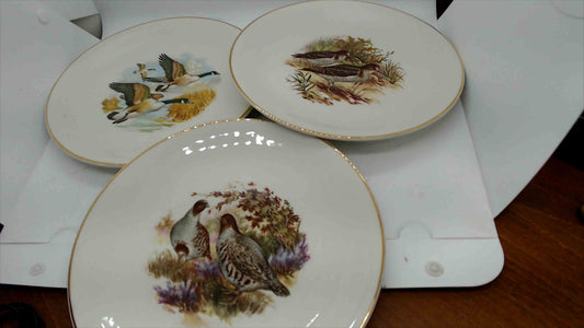 Vintage Royal Falcon Ware Bird Plates – Set of 3 (Weatherby, England) – Gold-Rim Decor