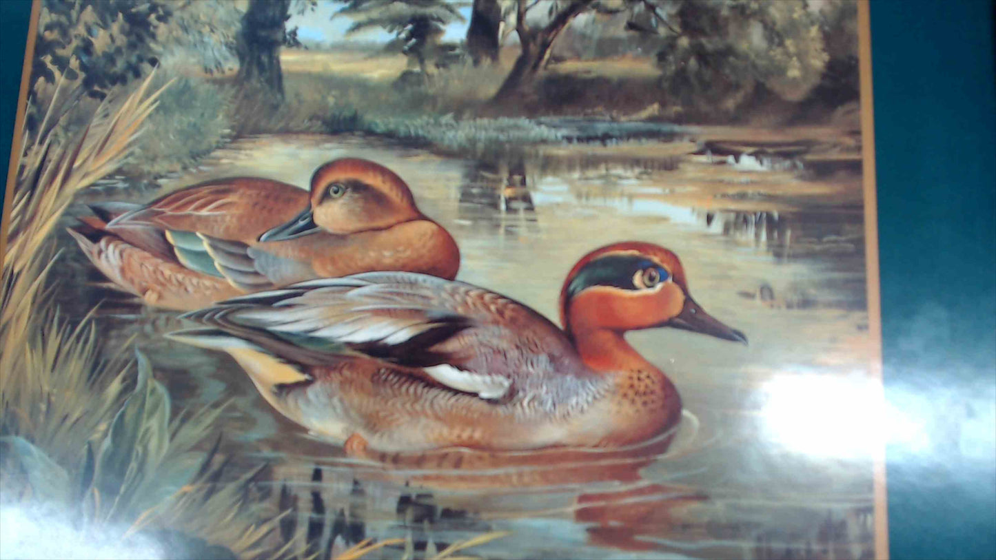 Vintage Pimpernel Wood Serving Tray w/ Ducks Artwork, Brass Handles – Made in England – ~12" x 18"