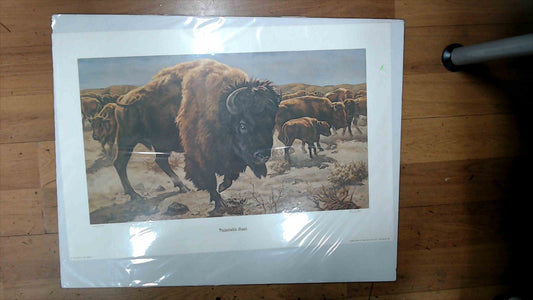 Vulnerable Giant by Brulé – Limited Edition Bison Art Print (30/800) – 22” x 28”