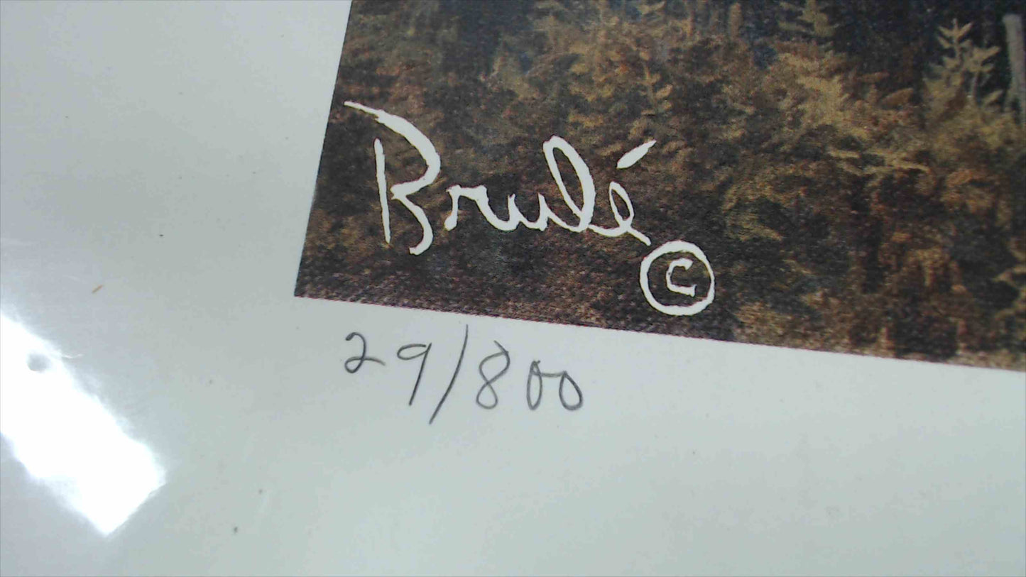 Memories of the Past” by Brulé – Limited Edition Native American Lithograph 29/800 – 22” x 28”