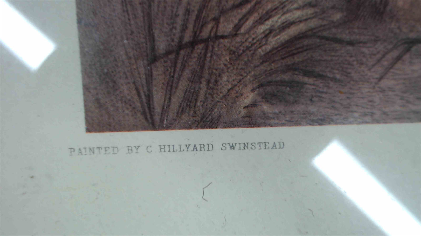 1885 “The First Step” by C. Hillyard Swinstead, Engraved by S. Arlent Edwards – Framed Print 24"x30"