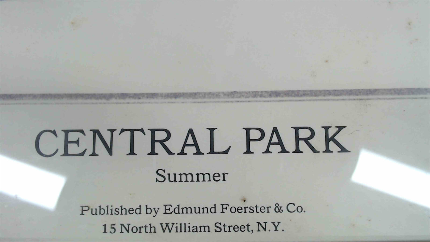 Central Park “Summer” Aerial View Print by John Bachmann & J. Bien – Framed Wall Art 29"x40" (Glass Damaged)