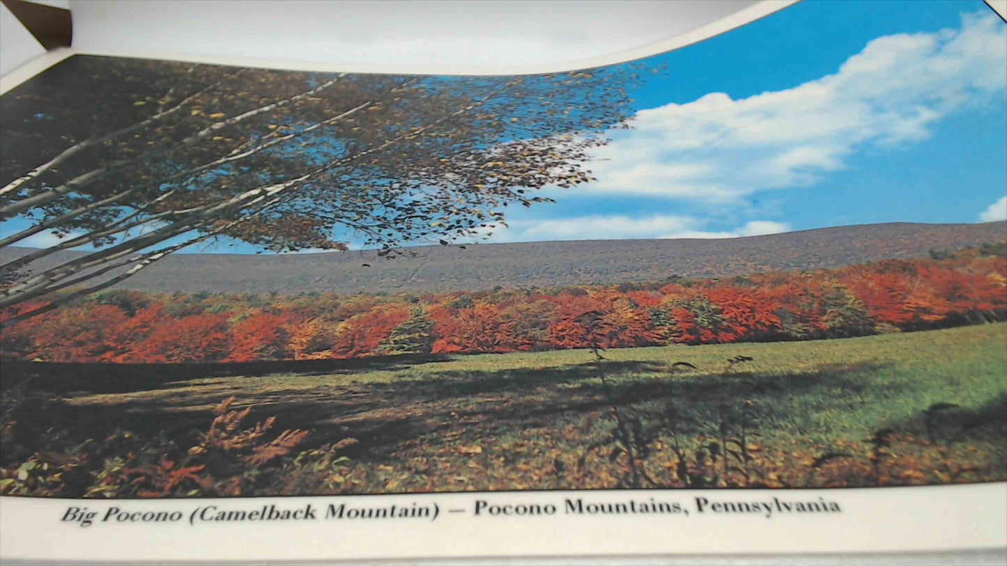 Set of 6 Vintage Pocono Mountains Laminated Placemats – Scenic Pennsylvania Prints – 12x17