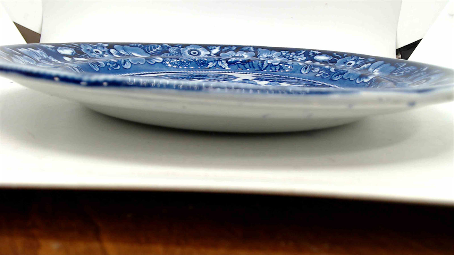 Antique Blue & White Transferware Plate with English Countryside River Scene and Floral Border