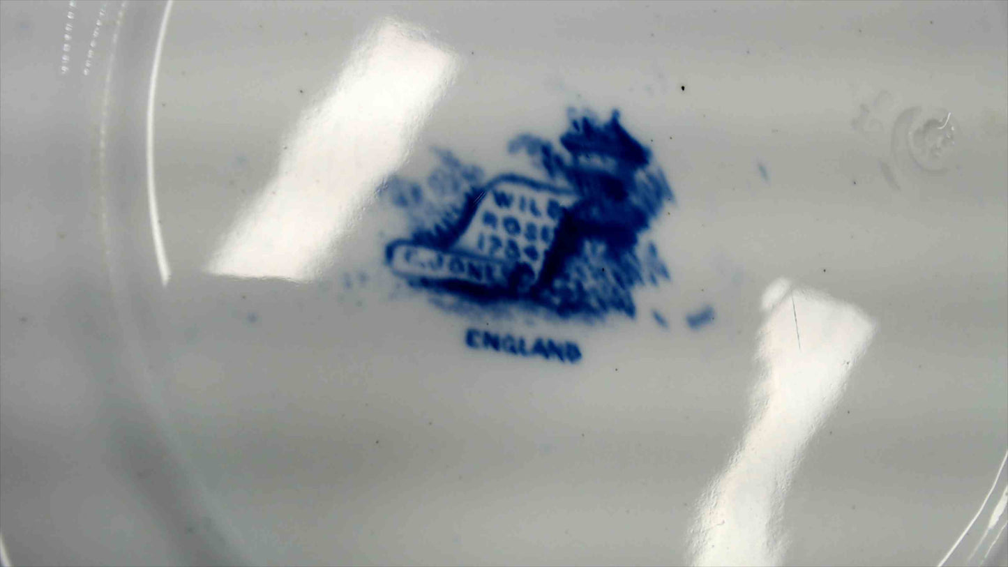 Antique Blue & White Transferware Plate with English Countryside River Scene and Floral Border