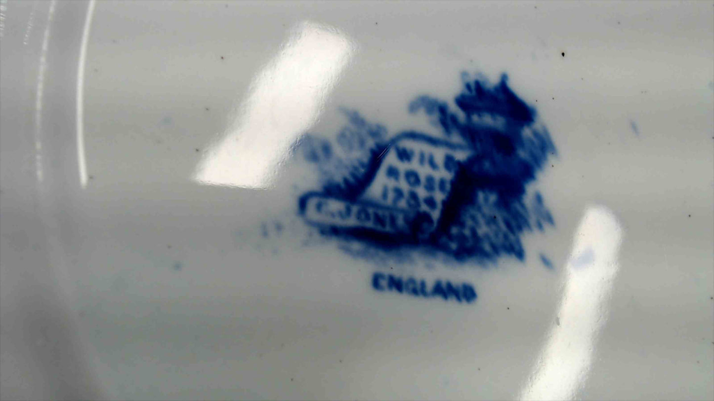 Antique Blue & White Transferware Plate with English Countryside River Scene and Floral Border