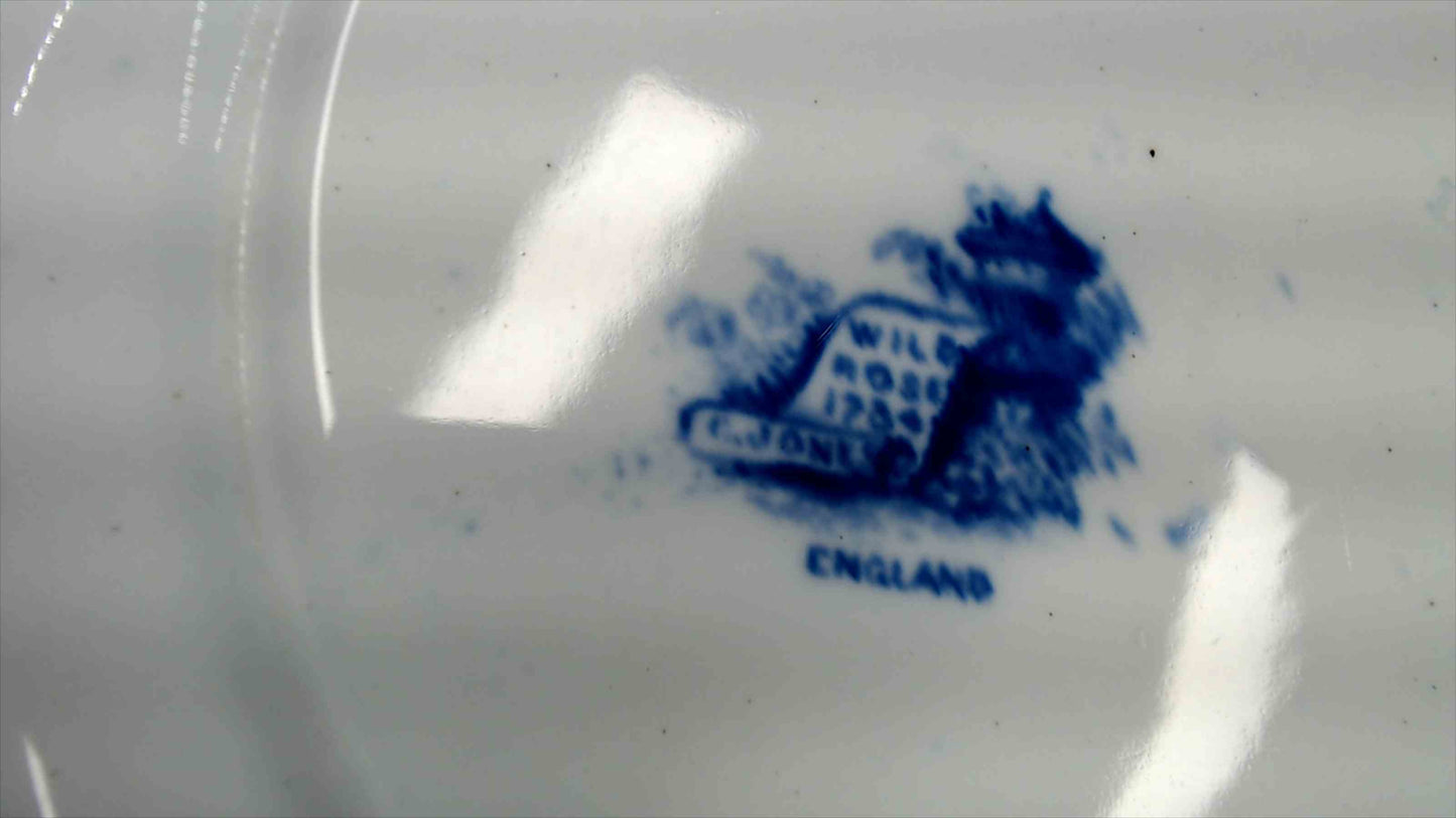 Antique Blue & White Transferware Plate with English Countryside River Scene and Floral Border
