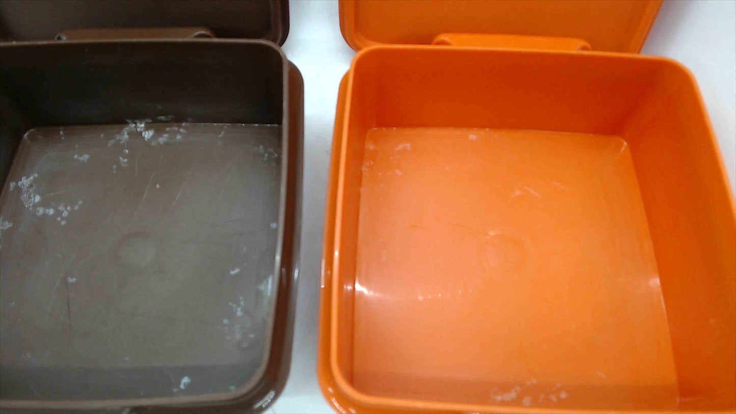Vintage Tupperware Sandwich Keeper Lunch Containers with Lids — Set of 2, Brown & Orange