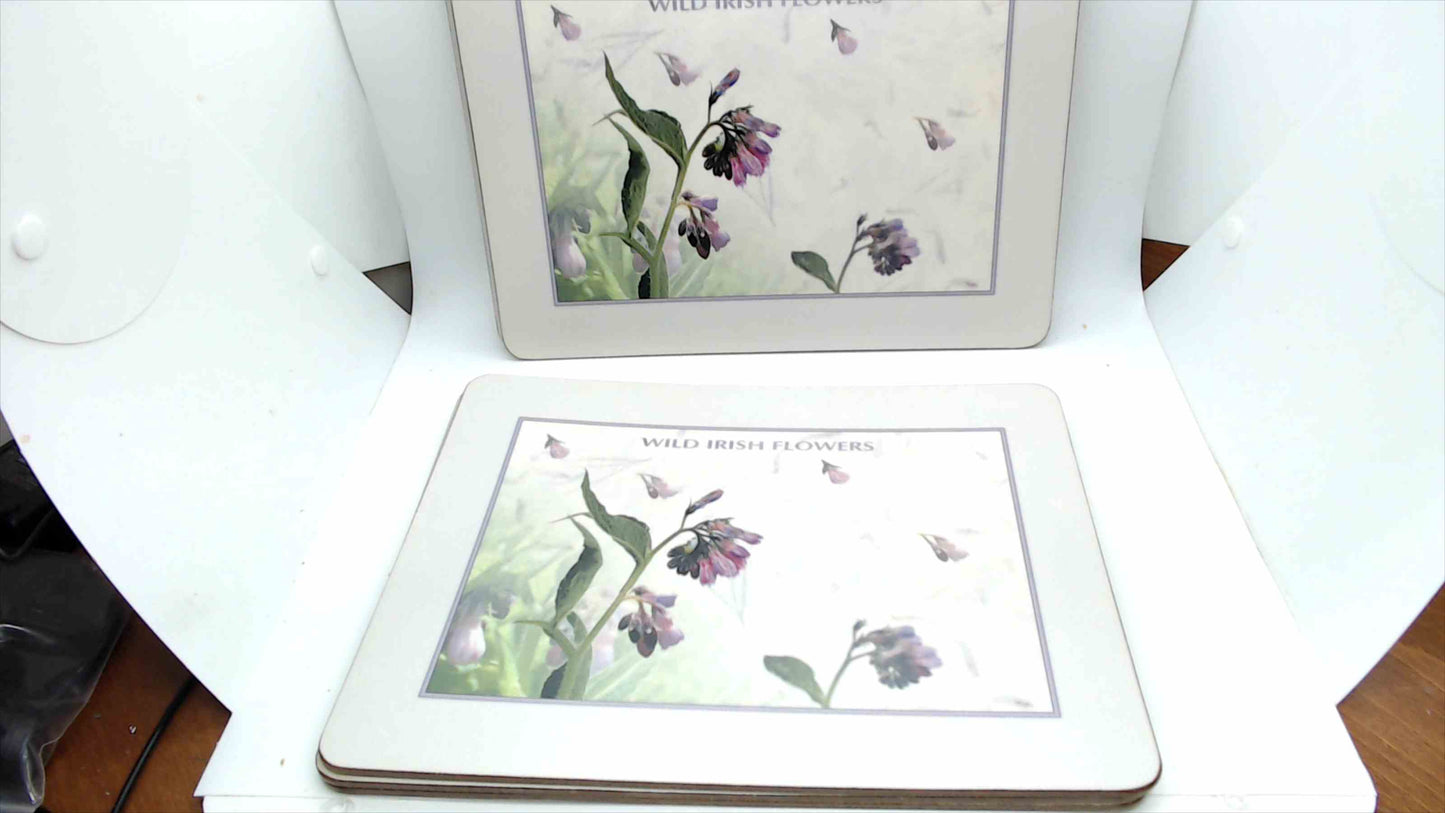 John Hinde "Wild Irish Flowers" Cork-Backed Placemats — Set of 6, Original Box, Made in Ireland