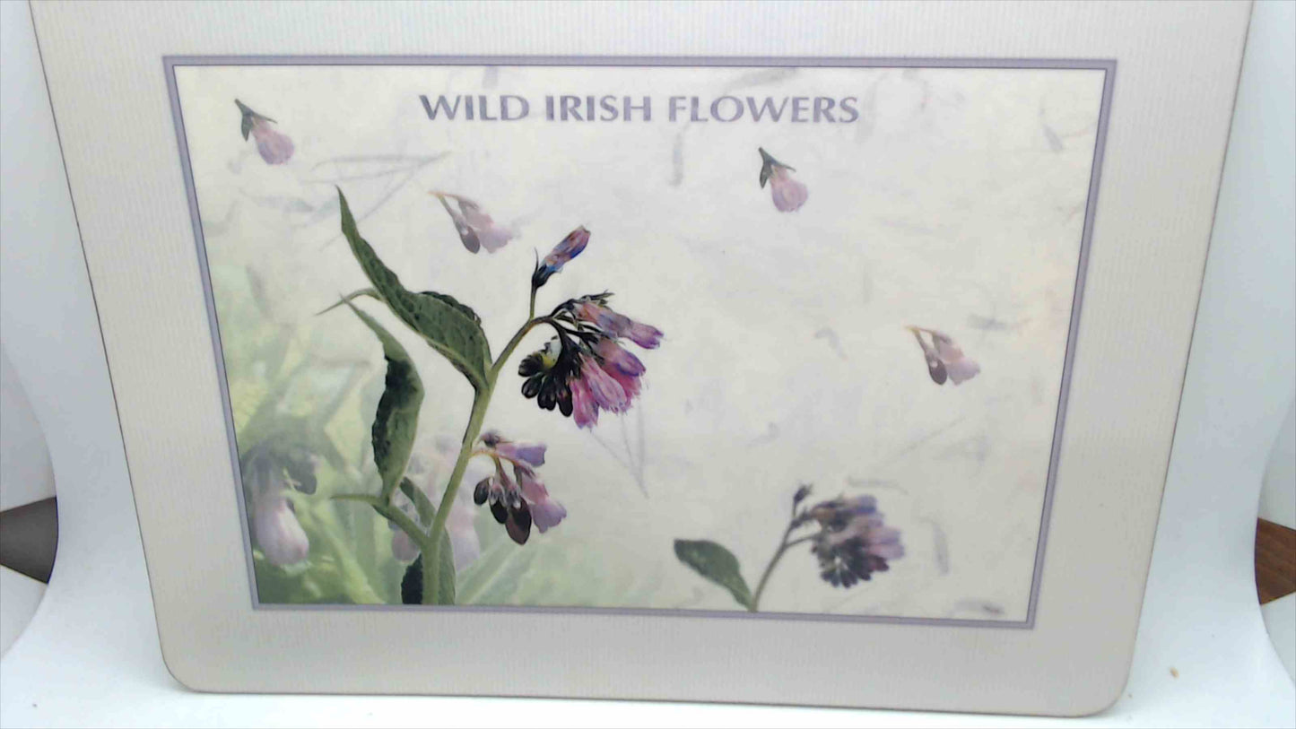 John Hinde "Wild Irish Flowers" Cork-Backed Placemats — Set of 6, Original Box, Made in Ireland