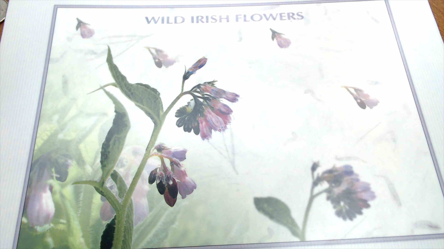 John Hinde "Wild Irish Flowers" Cork-Backed Placemats — Set of 6, Original Box, Made in Ireland
