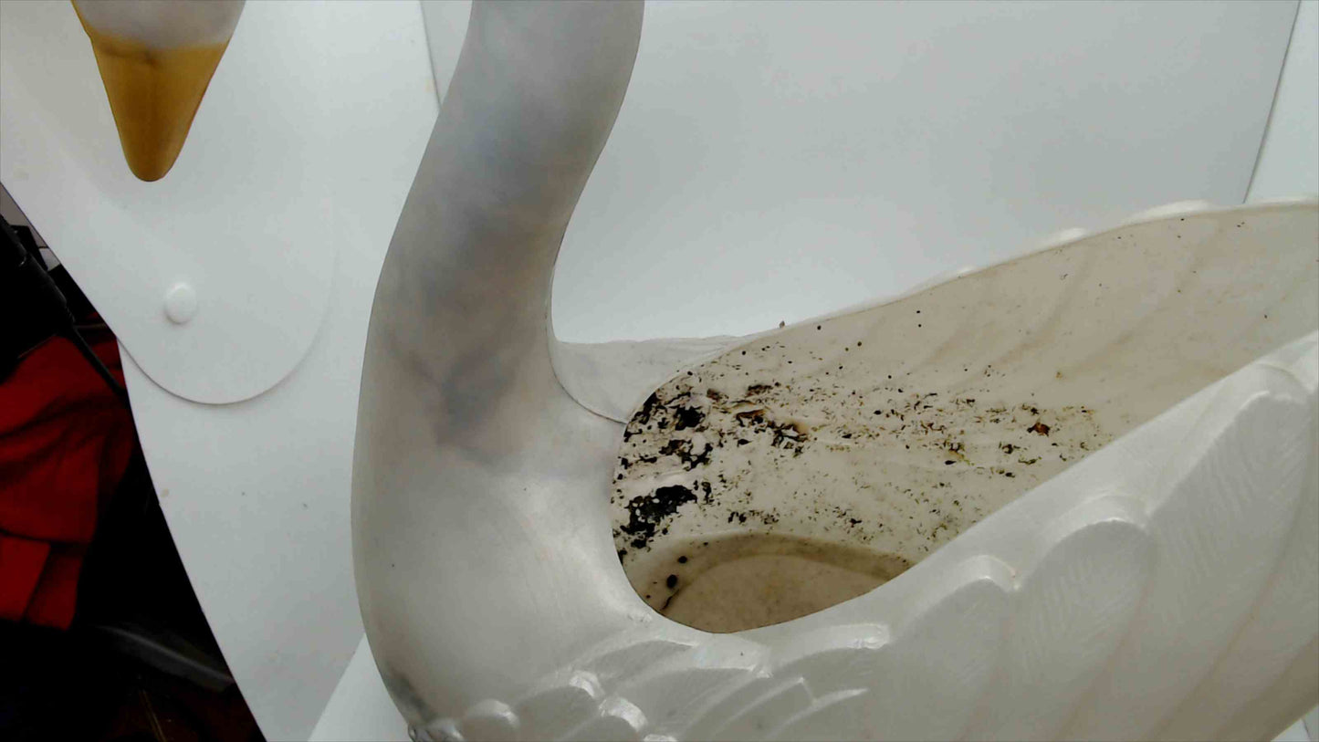 Swan Blow Mold Planter Union Products MA 1987