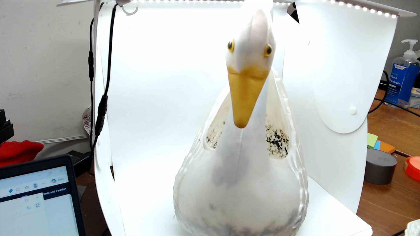 Swan Blow Mold Planter Union Products MA 1987